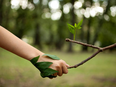 santé environnement